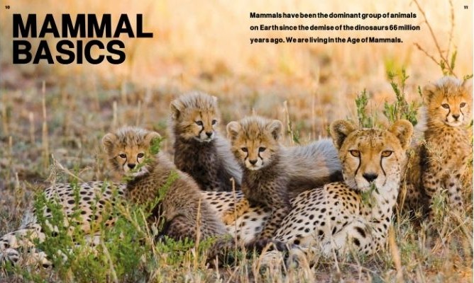 age of mammals landscape 1