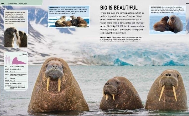 age of mammals landscape 2